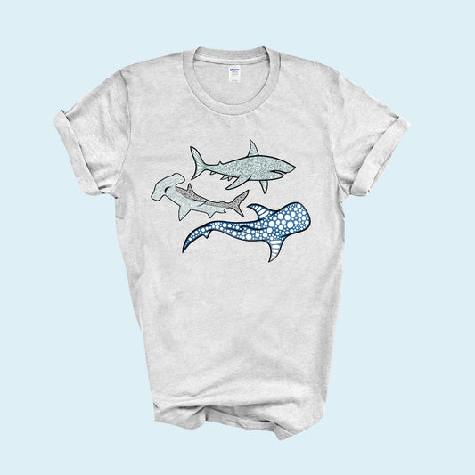 Shark T-shirt! Dragon T-shirt!